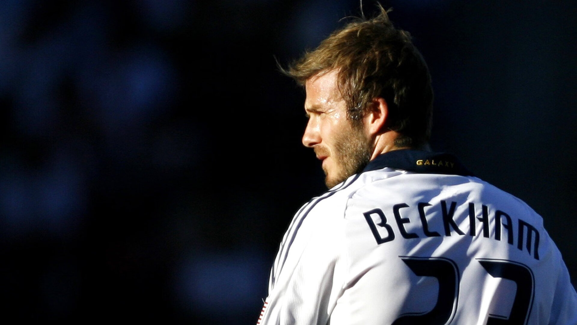 世界杯场地的环境保护措施，足球世界杯对场馆的要求